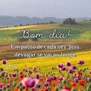 Bom dia