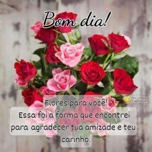 Bom dia