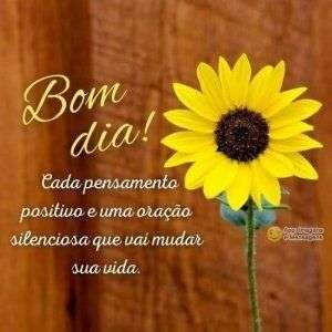 Bom dia