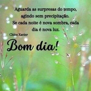 Bom dia