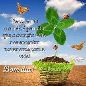 Bom dia