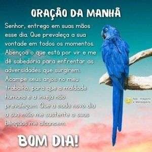 Bom dia