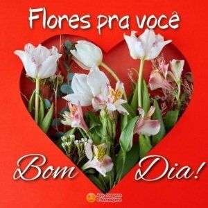 Bom dia