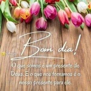 Bom dia