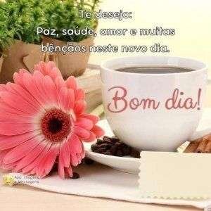 Bom dia