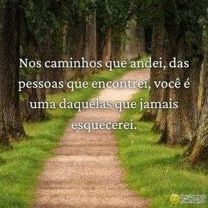 Caminhos que andei