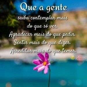 Comtemplar e agradecer