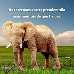 Correntes que te prendem