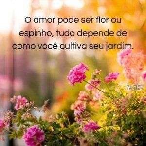 Cultivando seu jardim