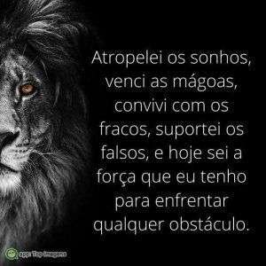 Enfrentar obstáculos