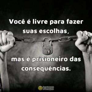 Escolhas e consequências