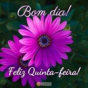 Feliz quinta-feira