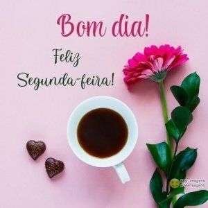 Feliz segunda-feira
