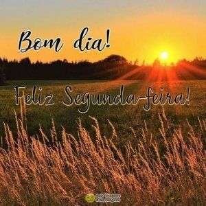 Feliz Segunda-feira