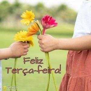 Feliz terça-feira