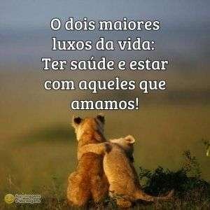 Luxos da vida