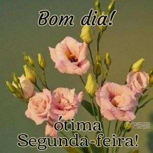 Ótima segunda-feira