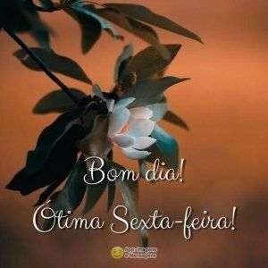 Ótima sexta-feira