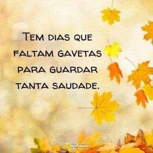 Tanta saudade
