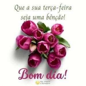 Terça-feira abençoada