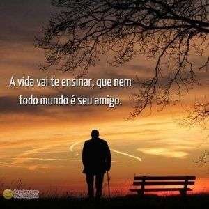A vida vai te ensinar