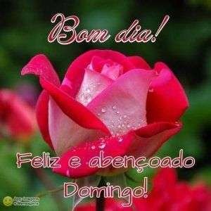 Coisas para abandonar