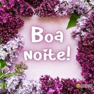 Boa noite