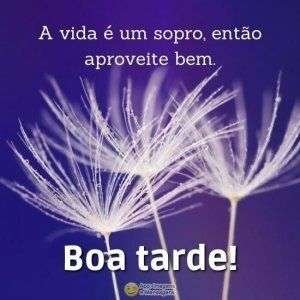 Boa tarde