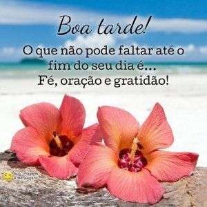 Boa tarde