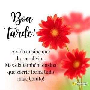 Boa tarde