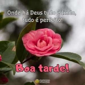 Boa tarde