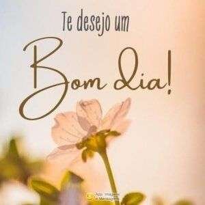 Bom dia