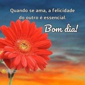Bom dia