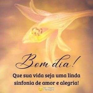 Bom dia