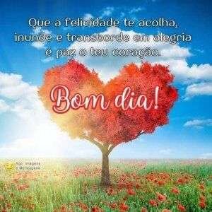 Bom dia