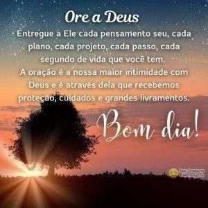 Bom dia