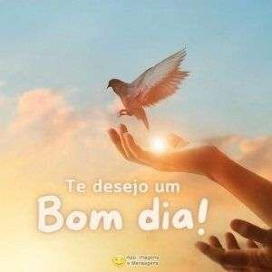 Bom dia