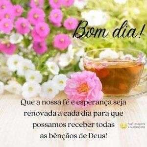 Atitudes para ser feliz