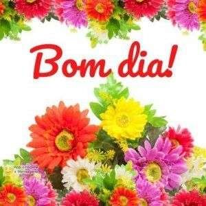 Bom dia