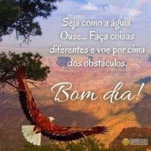 Bom dia