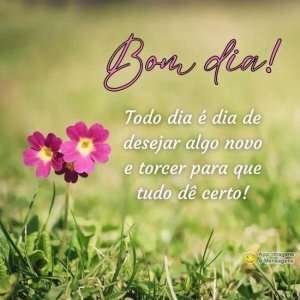 Bom dia