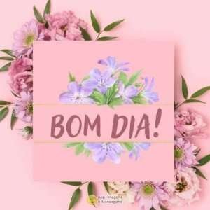 Bom dia