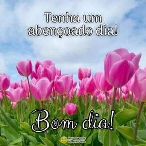 Bom dia