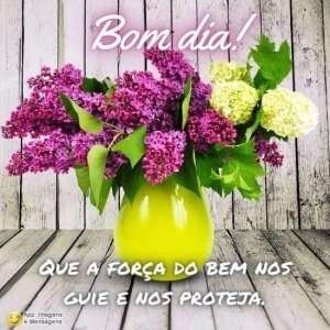Bom dia