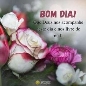 Bom dia