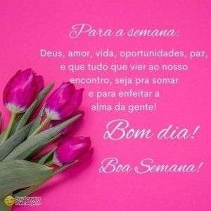 Bom dia e Boa Semana