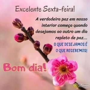 Excelente Sexta-feira