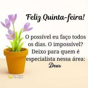 Feliz Quinta-feira