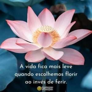 Florir ao invés de ferir