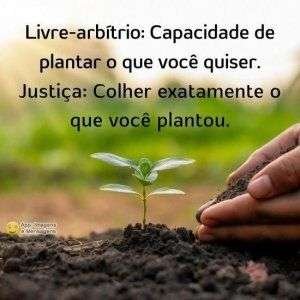 Livre-arbítrio e justiça